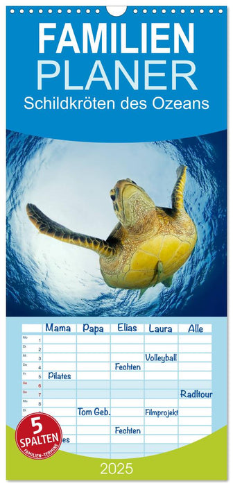 Schildkröten des Ozeans (CALVENDO Familienplaner 2025)