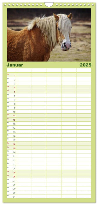 Der Pferdekalender (CALVENDO Familienplaner 2025)