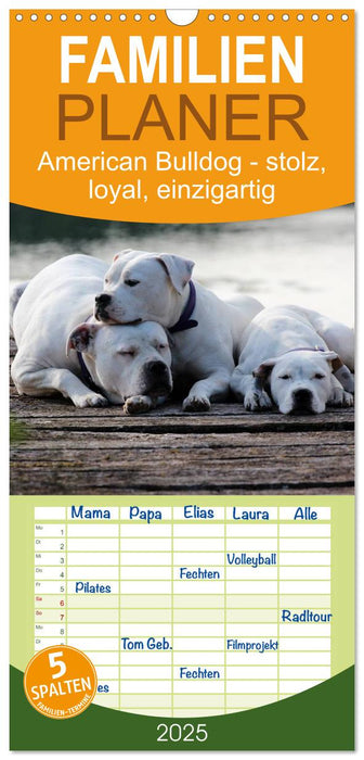 American Bulldog - stolz, loyal, einzigartig (CALVENDO Familienplaner 2025)