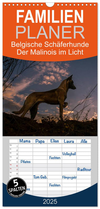 Belgische Schäferhunde - Der Malinois im Licht (CALVENDO Familienplaner 2025)