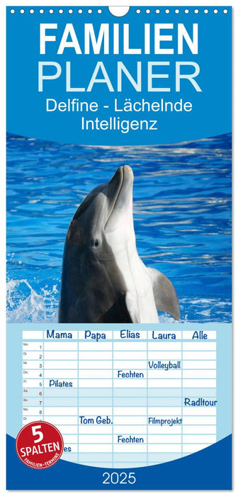 Delfine - Lächelnde Intelligenz (CALVENDO Familienplaner 2025)