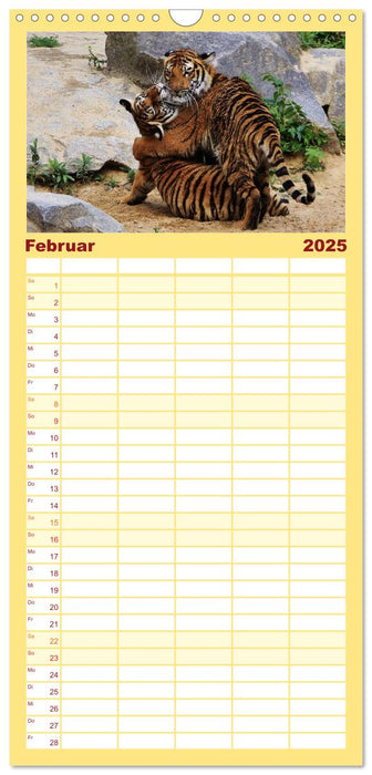 Tiger (CALVENDO Familienplaner 2025)