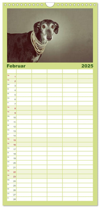 Der Windhundekalender (CALVENDO Familienplaner 2025)