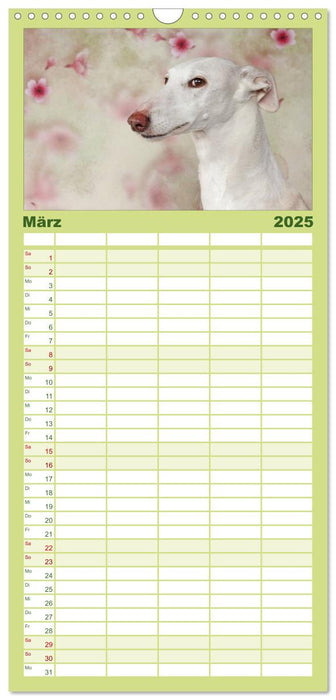 Der Windhundekalender (CALVENDO Familienplaner 2025)