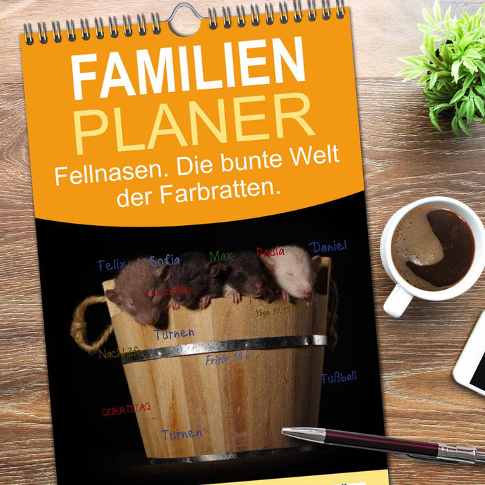 Fellnasen. Die bunte Welt der Farbratten. (CALVENDO Familienplaner 2025)