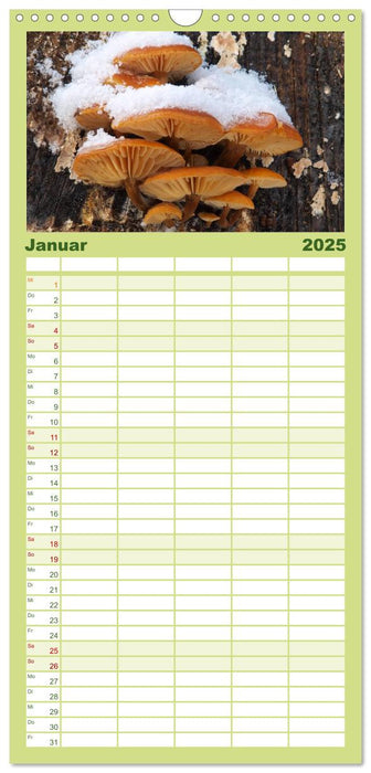 Pilzkalender (CALVENDO Familienplaner 2025)