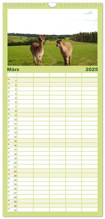 Alpakas zum Verlieben (CALVENDO Familienplaner 2025)
