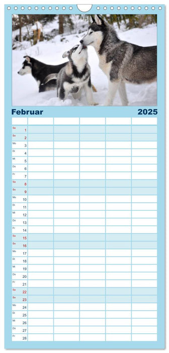 Husky-Kalender (CALVENDO Familienplaner 2025)