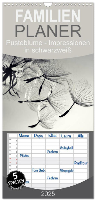 Pusteblume - Impressionen in schwarzweiß (CALVENDO Familienplaner 2025)