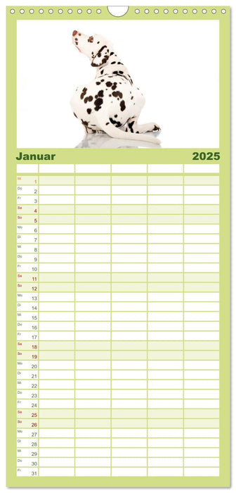 Dalmatiner (CALVENDO Familienplaner 2025)