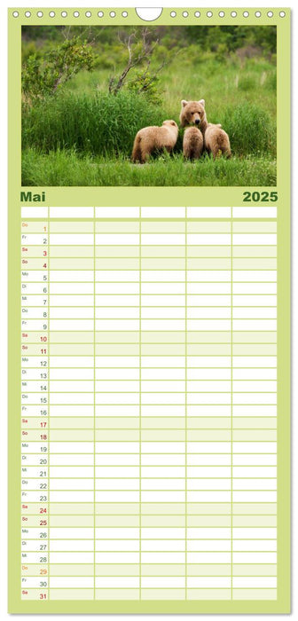 Der Bärenkalender (CALVENDO Familienplaner 2025)