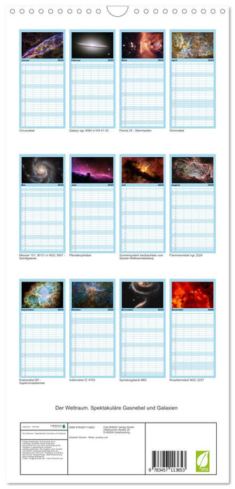 Der Weltraum. Spektakuläre Gasnebel und Galaxien (CALVENDO Familienplaner 2025)