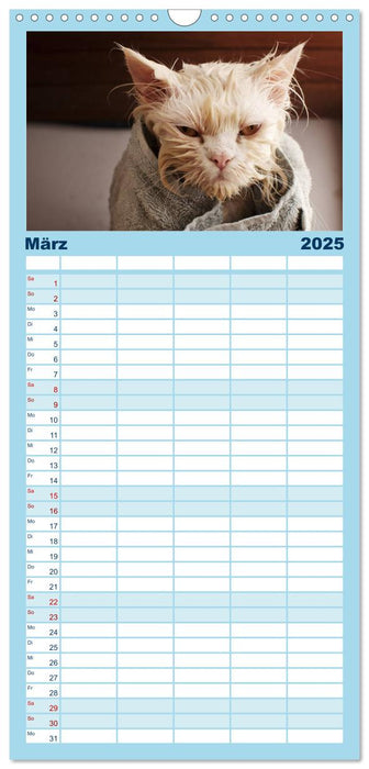 Der "philosophische" Katzenkalender 2025 (CALVENDO Familienplaner 2025)