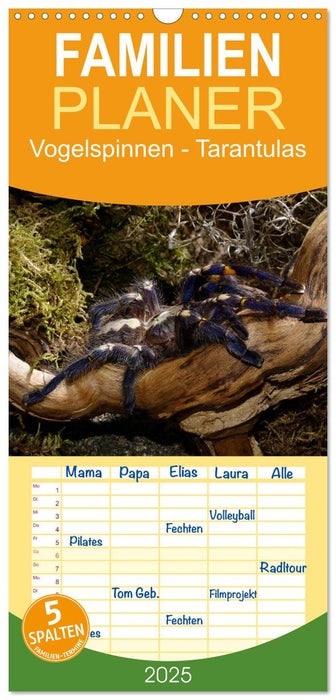 Vogelspinnen - Tarantulas (CALVENDO Familienplaner 2025)