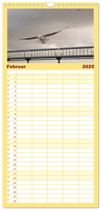 Usedom 2025 Rendezvous zwischen Ahlbeck und Heringsdorf (CALVENDO Familienplaner 2025)