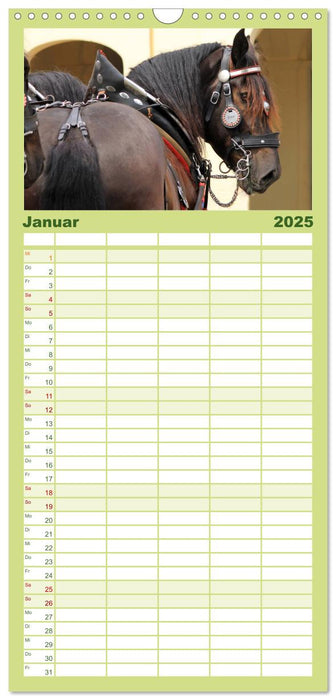 Schwere Pferde (CALVENDO Familienplaner 2025)