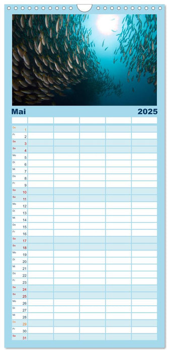Tauchen, Fische und Meer (CALVENDO Familienplaner 2025)