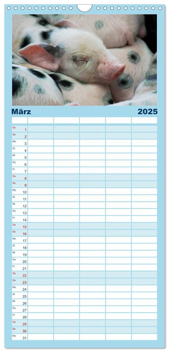 Tierische Schweinerei (CALVENDO Familienplaner 2025)