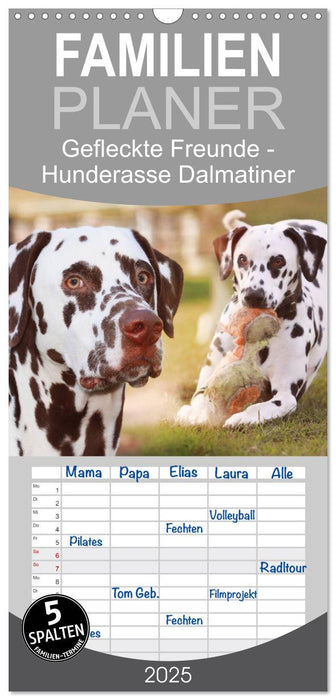 Gefleckte Freunde - Hunderasse Dalmatiner (CALVENDO Familienplaner 2025)