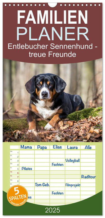 Entlebucher Sennenhund - treue Freunde (CALVENDO Familienplaner 2025)