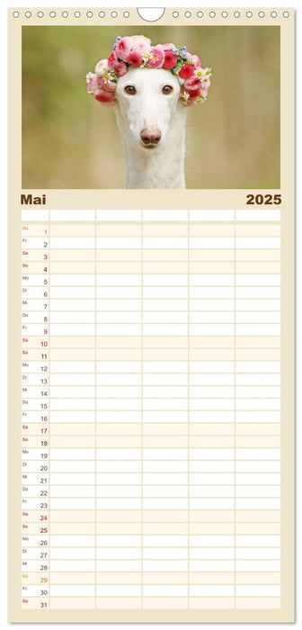 Zauberhafte Windhunde (CALVENDO Familienplaner 2025)