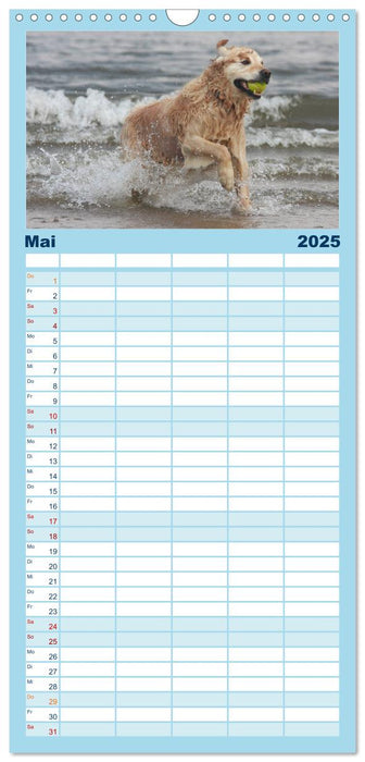Schwimmen mit Hunden - Spaß für Mensch und Hund (CALVENDO Familienplaner 2025)