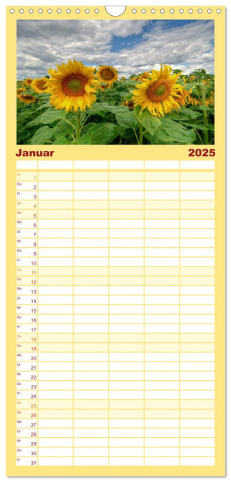 Zeit für Sonnenblumen (CALVENDO Familienplaner 2025)