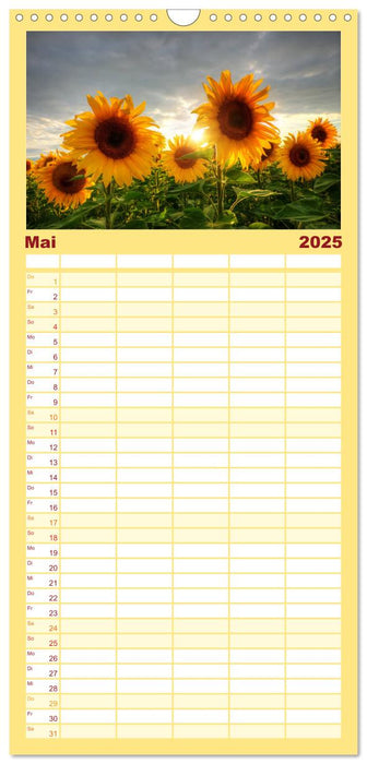 Zeit für Sonnenblumen (CALVENDO Familienplaner 2025)