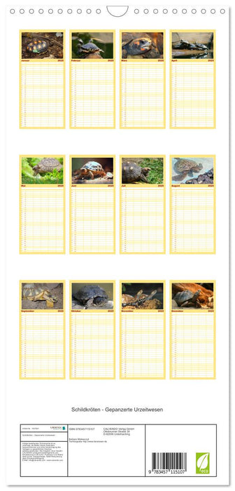 Schildkröten - Gepanzerte Urzeitwesen (CALVENDO Familienplaner 2025)