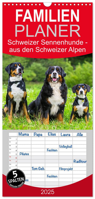 Schweizer Sennenhunde - aus den Schweizer Alpen (CALVENDO Familienplaner 2025)