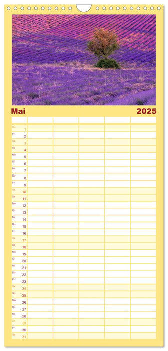 Provence, Lavendelzeit in Südfrankreich (CALVENDO Familienplaner 2025)