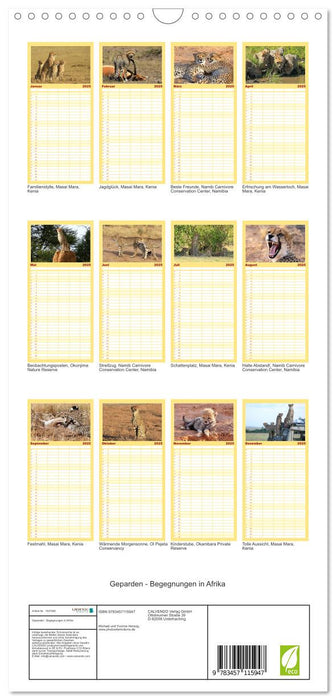 Geparden - Begegnungen in Afrika (CALVENDO Familienplaner 2025)