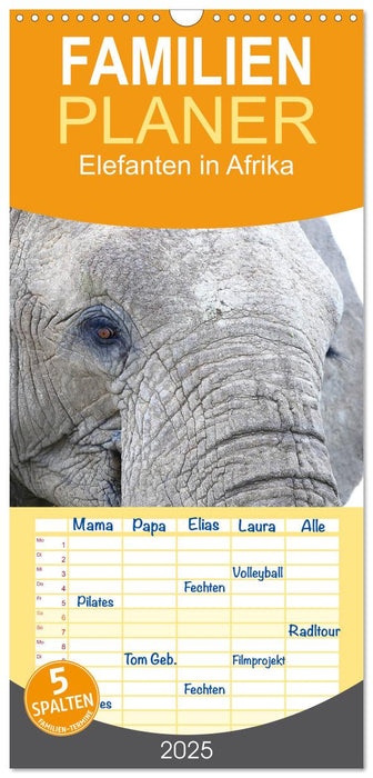 Elefanten in Afrika (CALVENDO Familienplaner 2025)