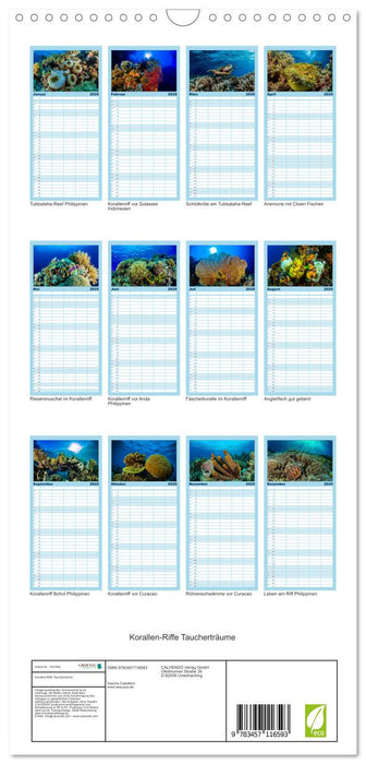 Korallen-Riffe Taucherträume (CALVENDO Familienplaner 2025)