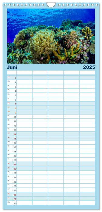 Korallen-Riffe Taucherträume (CALVENDO Familienplaner 2025)