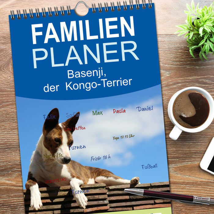 Basenji, der Kongo-Terrier (CALVENDO Familienplaner 2025)