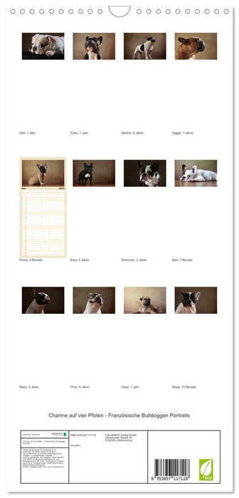 Charme auf vier Pfoten - Französische Bulldoggen Portraits (CALVENDO Familienplaner 2025)