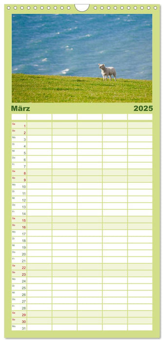 Schafe - Weich und wollig (CALVENDO Familienplaner 2025)