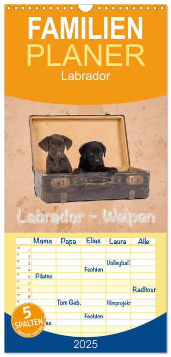 Labrador - Welpen (CALVENDO Familienplaner 2025)