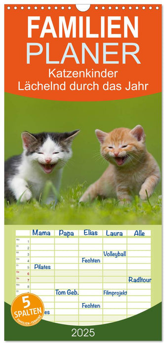 Lächelnd durchs Jahr - Katzenkinder -Familienplaner hoch (CALVENDO Familienplaner 2025)