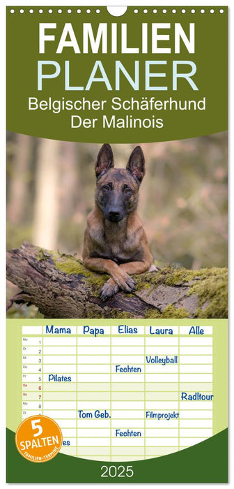 Belgischer Schäferhund - Der Malinois (CALVENDO Familienplaner 2025)