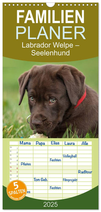 Labrador Welpe – Seelenhund (CALVENDO Familienplaner 2025)