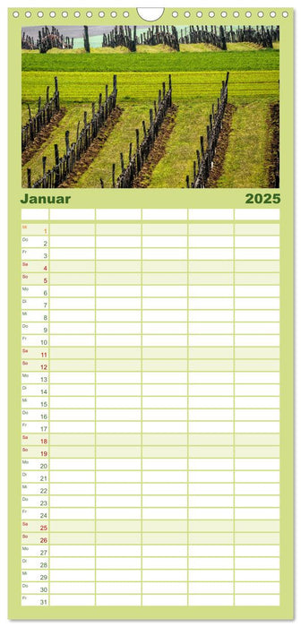 Strukturen im Weinbau (CALVENDO Familienplaner 2025)