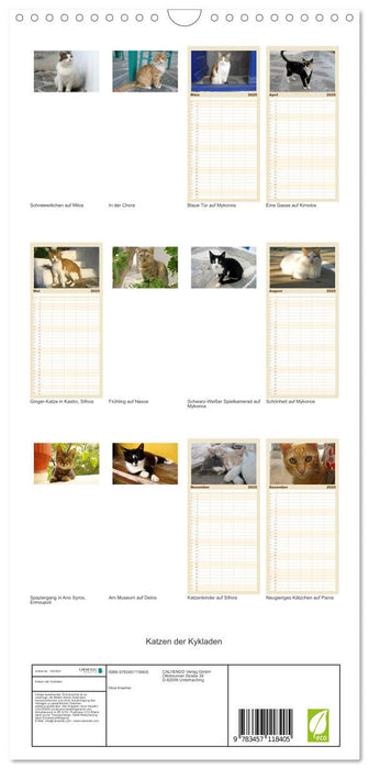 Katzen der Kykladen (CALVENDO Familienplaner 2025)