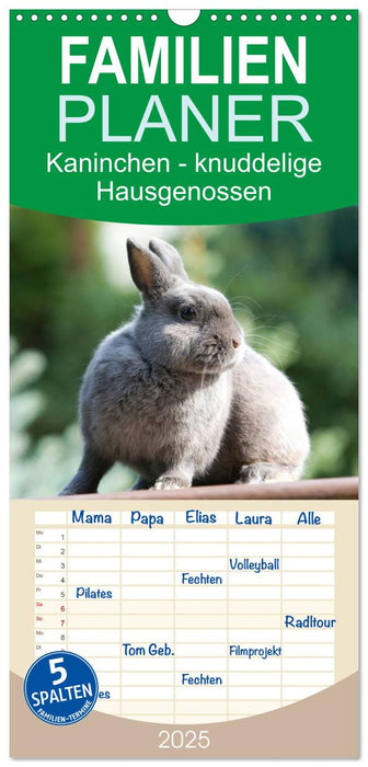 Kaninchen - knuddelige Hausgenossen (CALVENDO Familienplaner 2025)