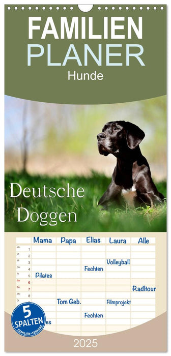 Deutsche Doggen / Geburtstagskalender (CALVENDO Familienplaner 2025)