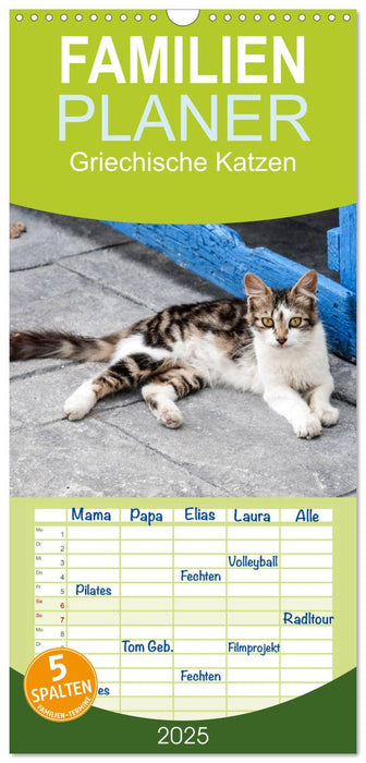 Griechische Katzen (CALVENDO Familienplaner 2025)