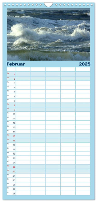Strandwanderungen auf Texel (CALVENDO Familienplaner 2025)