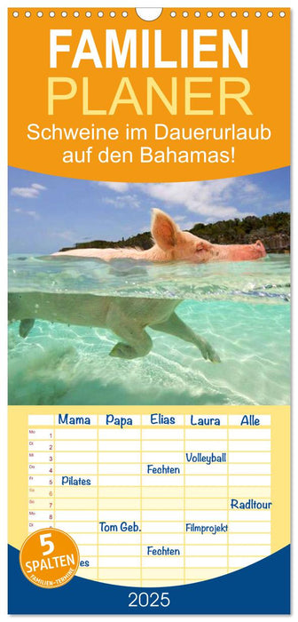 Schweine im Dauerurlaub auf den Bahamas! (CALVENDO Familienplaner 2025)