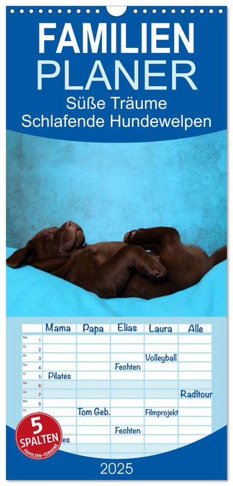 Süße Träume 2025 - schlafende Hundewelpen (CALVENDO Familienplaner 2025)
